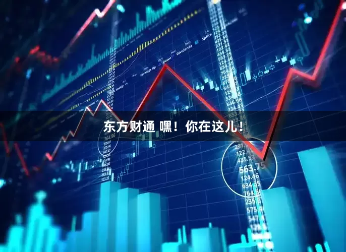 东方财通 嘿！你在这儿！