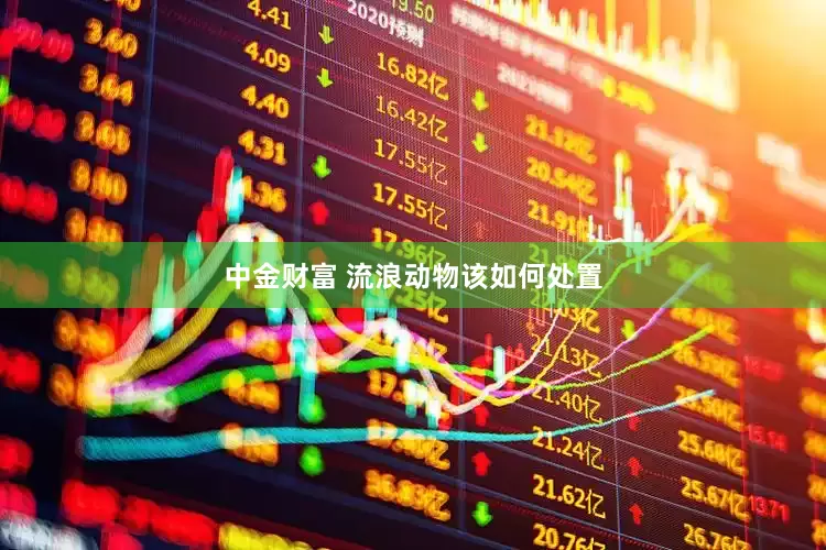 中金财富 流浪动物该如何处置