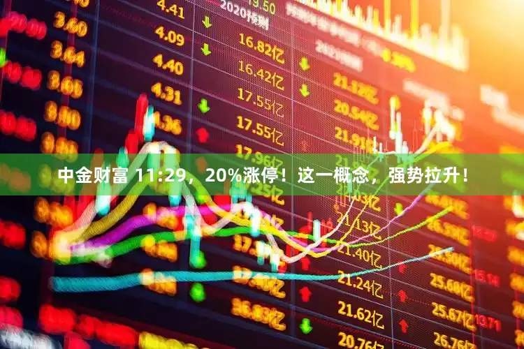 中金财富 11:29，20%涨停！这一概念，强势拉升！